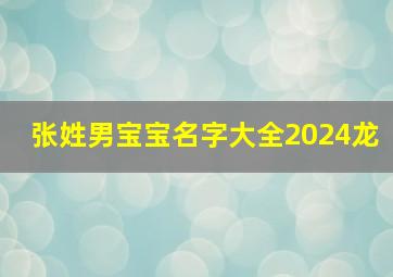 张姓男宝宝名字大全2024龙