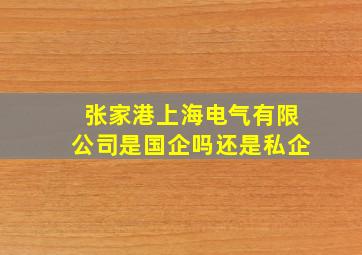 张家港上海电气有限公司是国企吗还是私企