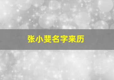 张小斐名字来历