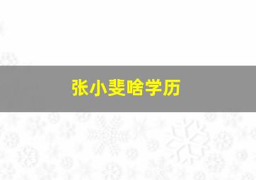 张小斐啥学历