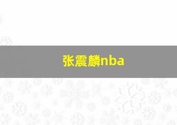 张震麟nba