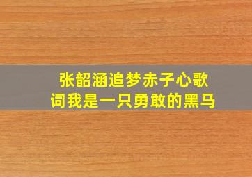 张韶涵追梦赤子心歌词我是一只勇敢的黑马