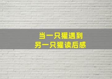 当一只獾遇到另一只獾读后感