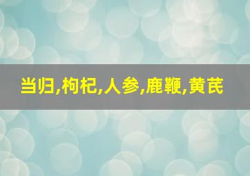 当归,枸杞,人参,鹿鞭,黄芪