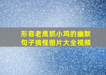 形容老鹰抓小鸡的幽默句子搞怪图片大全视频