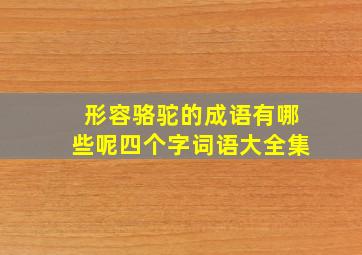 形容骆驼的成语有哪些呢四个字词语大全集