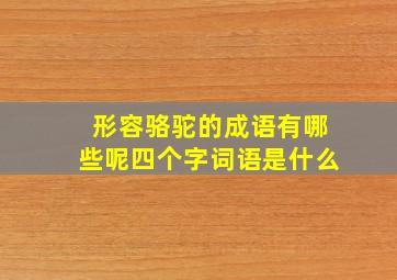 形容骆驼的成语有哪些呢四个字词语是什么