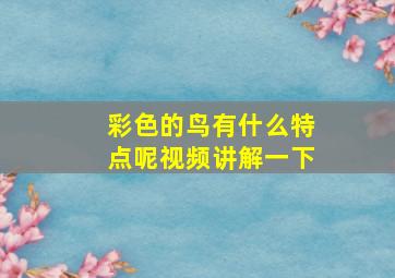 彩色的鸟有什么特点呢视频讲解一下