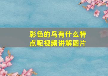 彩色的鸟有什么特点呢视频讲解图片