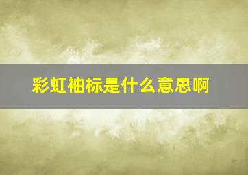 彩虹袖标是什么意思啊