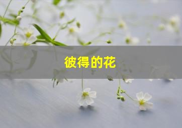 彼得的花