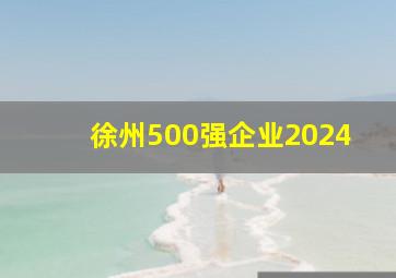 徐州500强企业2024