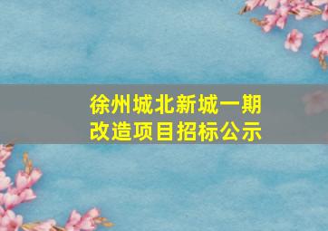 徐州城北新城一期改造项目招标公示