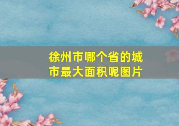 徐州市哪个省的城市最大面积呢图片