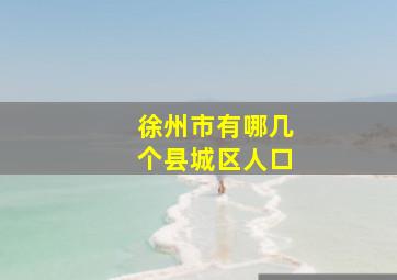 徐州市有哪几个县城区人口