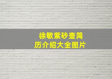 徐敏紫砂壶简历介绍大全图片