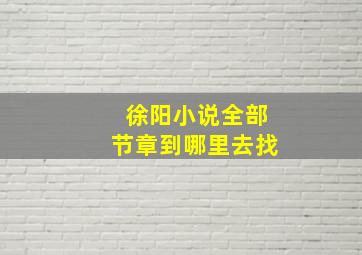 徐阳小说全部节章到哪里去找