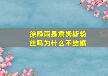 徐静雨是詹姆斯粉丝吗为什么不结婚