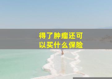 得了肿瘤还可以买什么保险