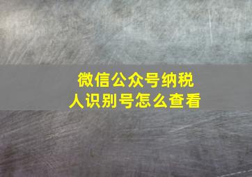 微信公众号纳税人识别号怎么查看