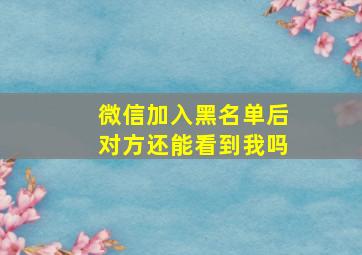 微信加入黑名单后对方还能看到我吗