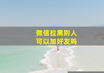 微信拉黑别人可以加好友吗