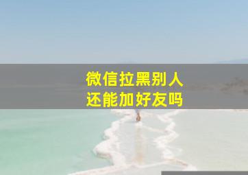 微信拉黑别人还能加好友吗