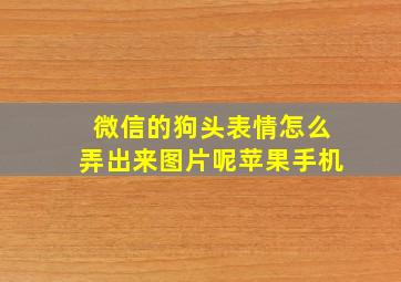 微信的狗头表情怎么弄出来图片呢苹果手机