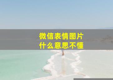 微信表情图片什么意思不懂