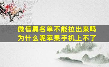 微信黑名单不能拉出来吗为什么呢苹果手机上不了