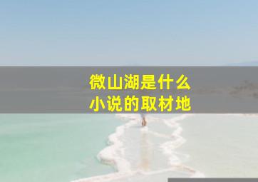 微山湖是什么小说的取材地