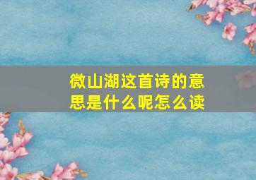 微山湖这首诗的意思是什么呢怎么读