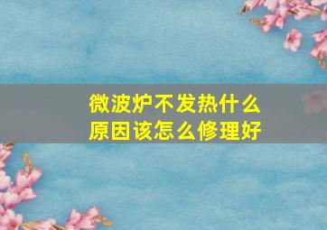 微波炉不发热什么原因该怎么修理好