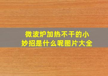 微波炉加热不干的小妙招是什么呢图片大全