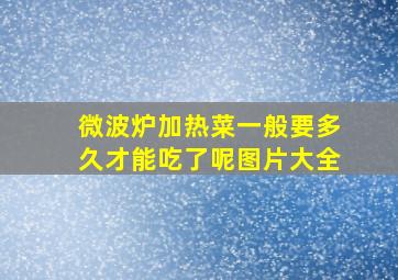 微波炉加热菜一般要多久才能吃了呢图片大全