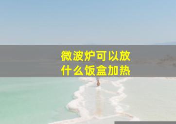 微波炉可以放什么饭盒加热