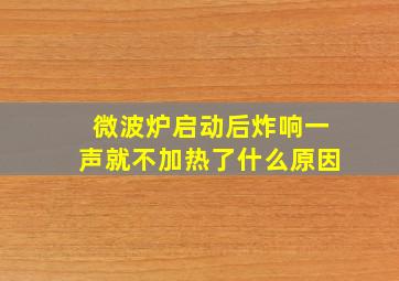 微波炉启动后炸响一声就不加热了什么原因