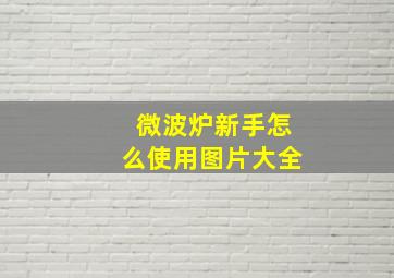 微波炉新手怎么使用图片大全