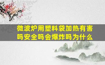 微波炉用塑料袋加热有害吗安全吗会爆炸吗为什么