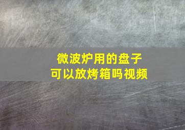 微波炉用的盘子可以放烤箱吗视频