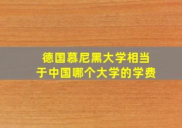 德国慕尼黑大学相当于中国哪个大学的学费