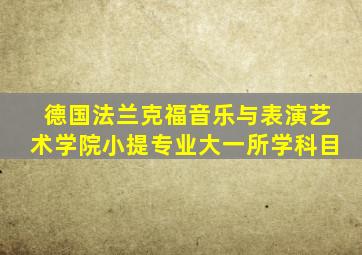 德国法兰克福音乐与表演艺术学院小提专业大一所学科目