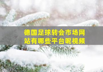 德国足球转会市场网站有哪些平台呢视频