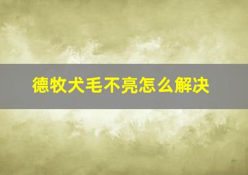 德牧犬毛不亮怎么解决