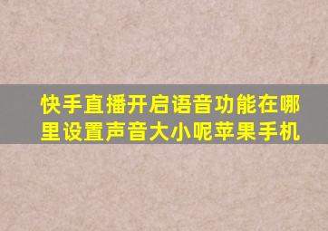 快手直播开启语音功能在哪里设置声音大小呢苹果手机