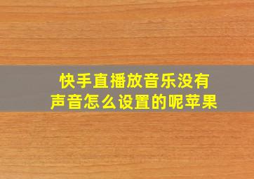 快手直播放音乐没有声音怎么设置的呢苹果