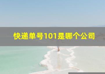 快递单号101是哪个公司