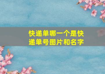 快递单哪一个是快递单号图片和名字