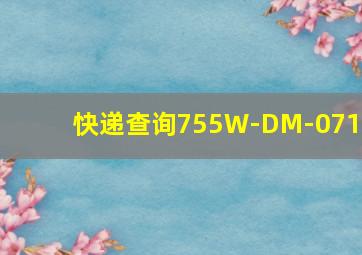 快递查询755W-DM-071A