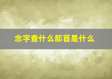 念字查什么部首是什么